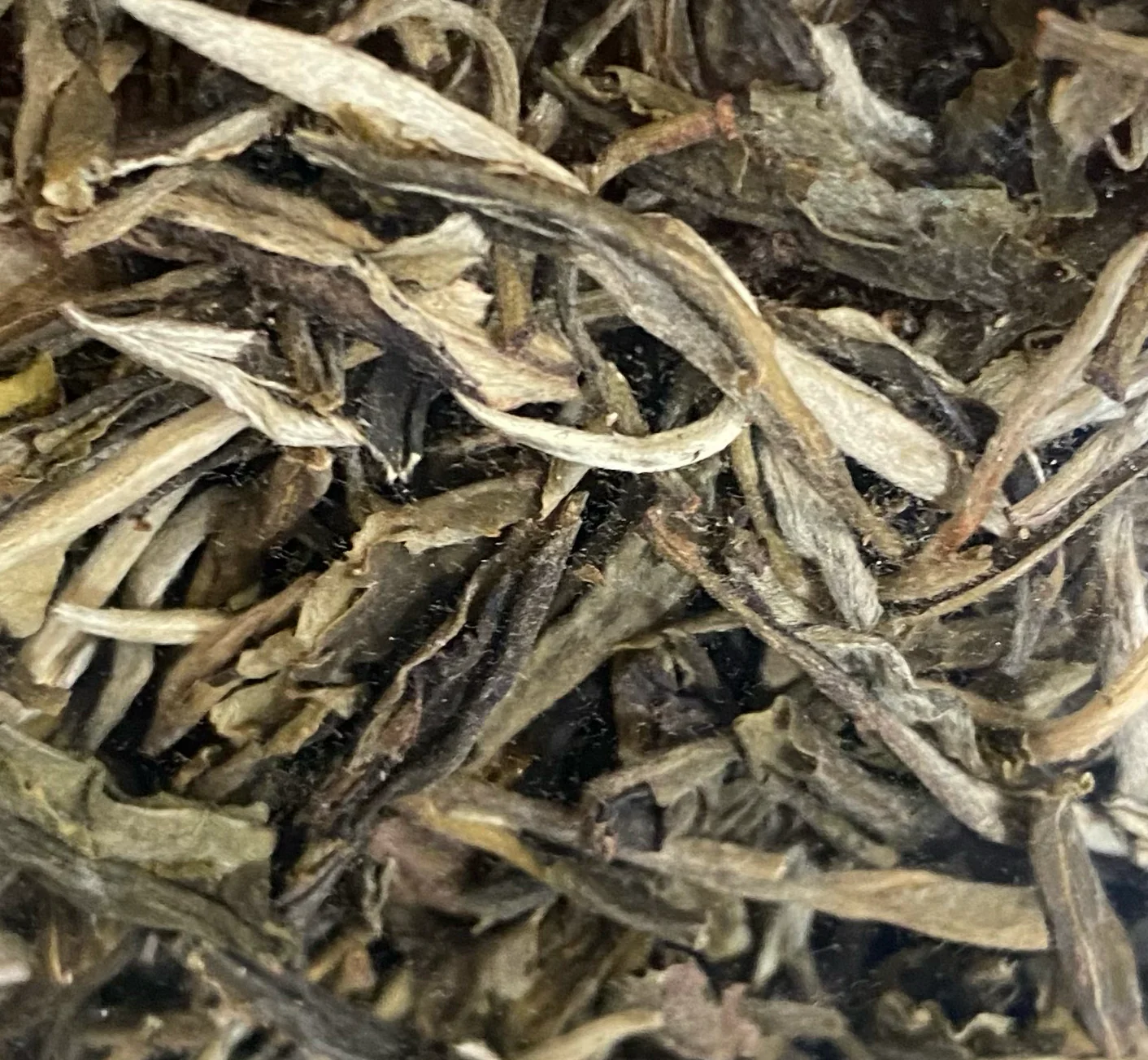 Alternative view of Pur thé blanc (100g)
