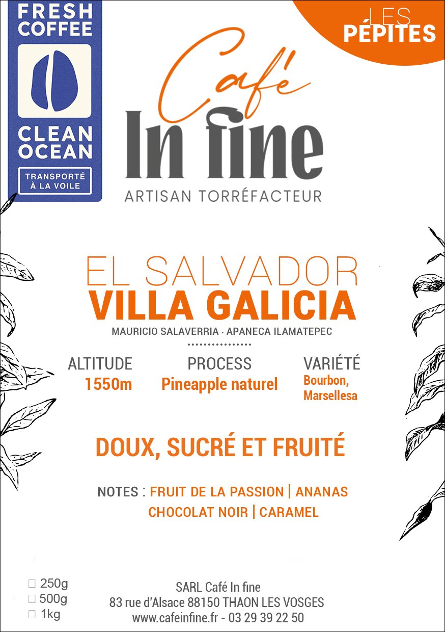 Café de spécialité - El Salvador VILLA GALICIA