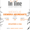 Café du Mexique - Siembra Abundante - décaféiné à l'eau et bio