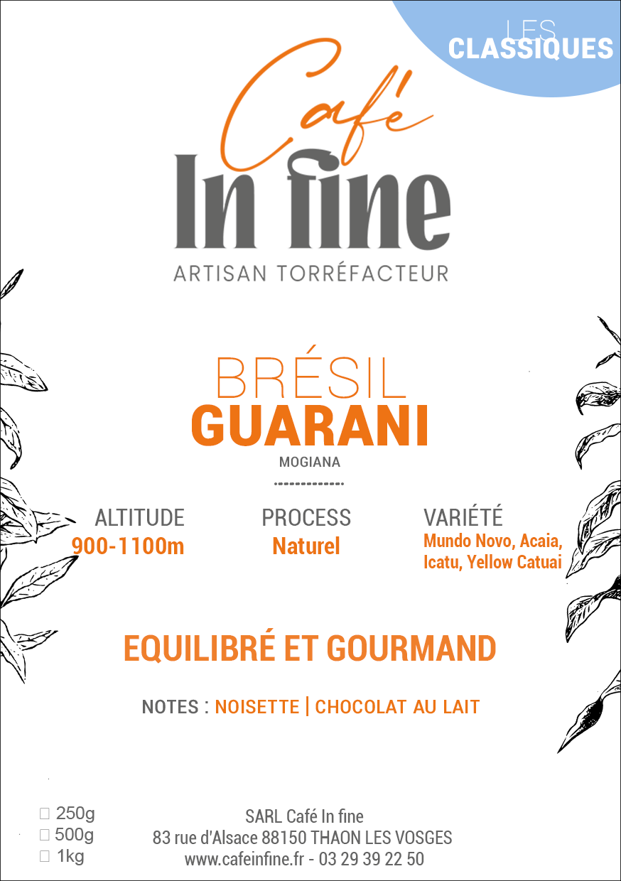 Café de spécialité : Brésil Guarani Nature