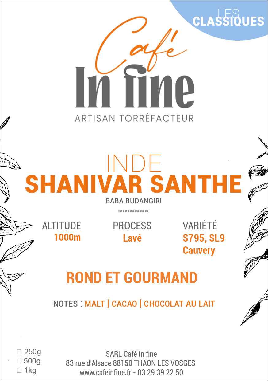 Café de spécialité torréfié dans les vosges : Inde - SHANIVAR SANTE