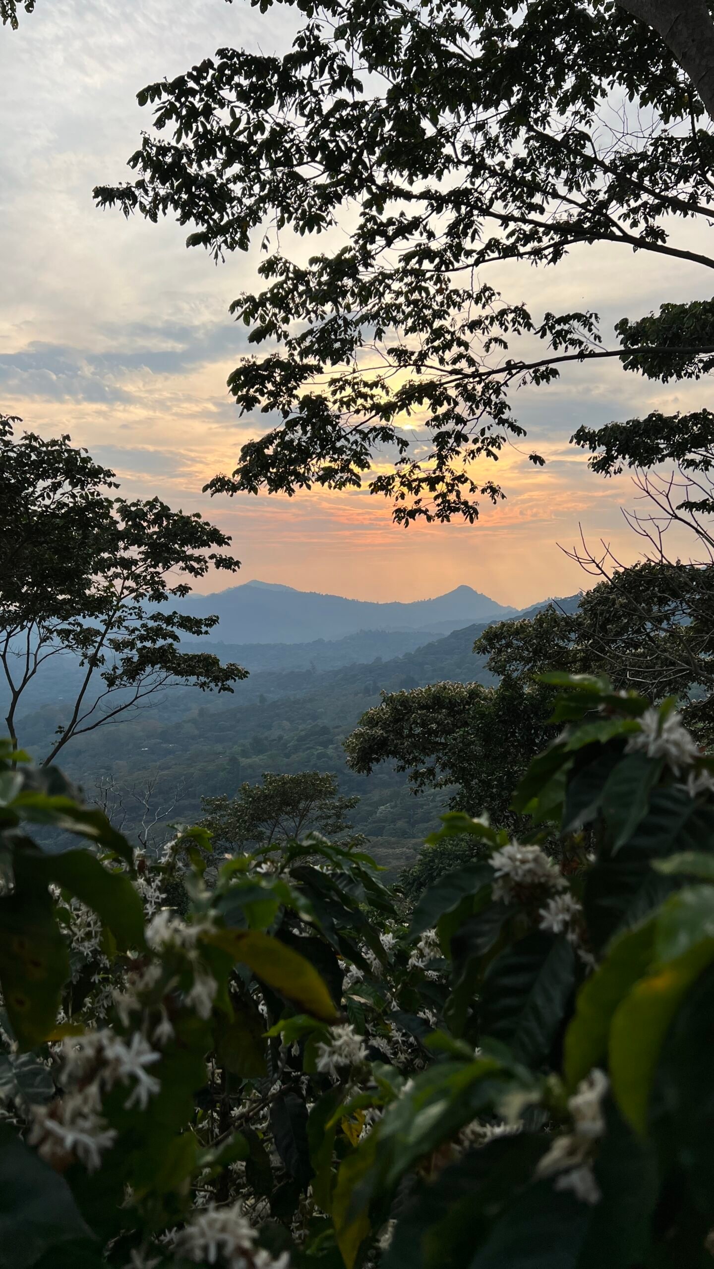 Alternative view of Nicaragua - EL TOSTON - Lavé