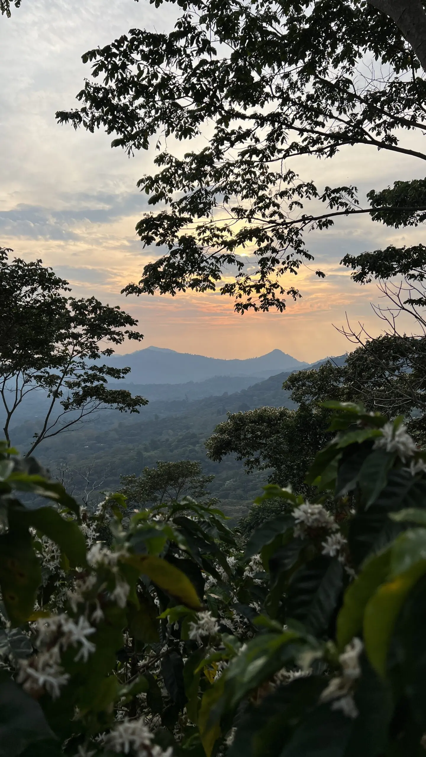 Alternative view of Nicaragua - EL TOSTON - Lavé