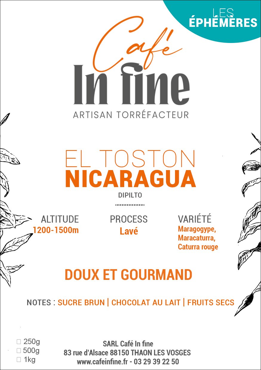 Café de spécialité - Nicaragua - El Toston