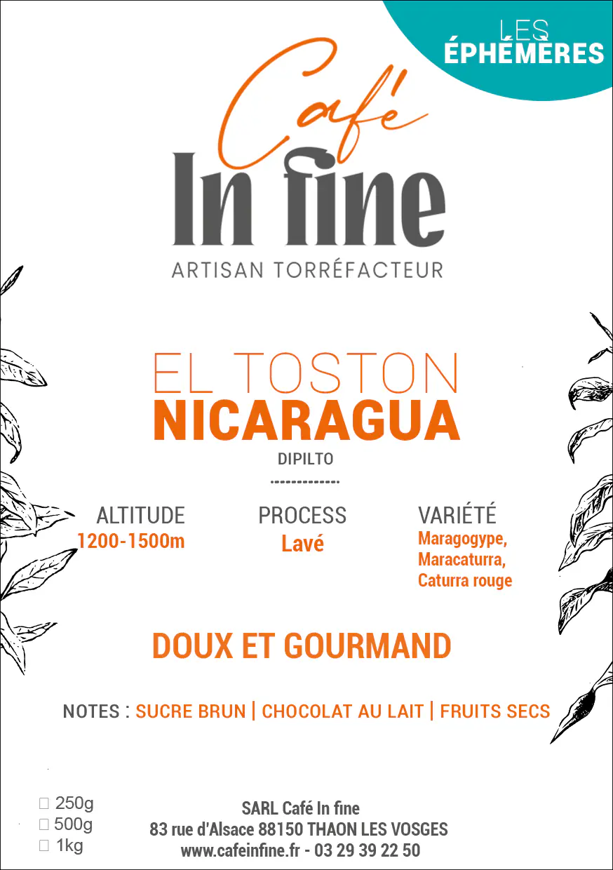 Café de spécialité - Nicaragua - El Toston