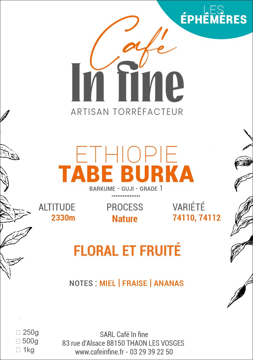 Café de spécialité - Ethiopie - Tabe Burka nature
