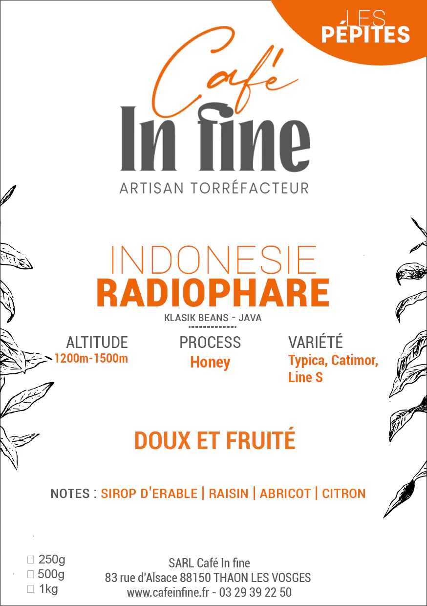 Café de spécialité - indonésie - radiophare - honey