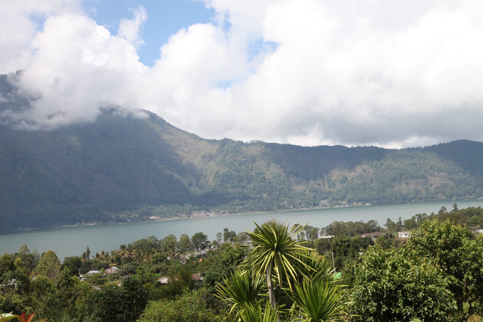 Alternative view of Indonesie - Radiophare - Honey