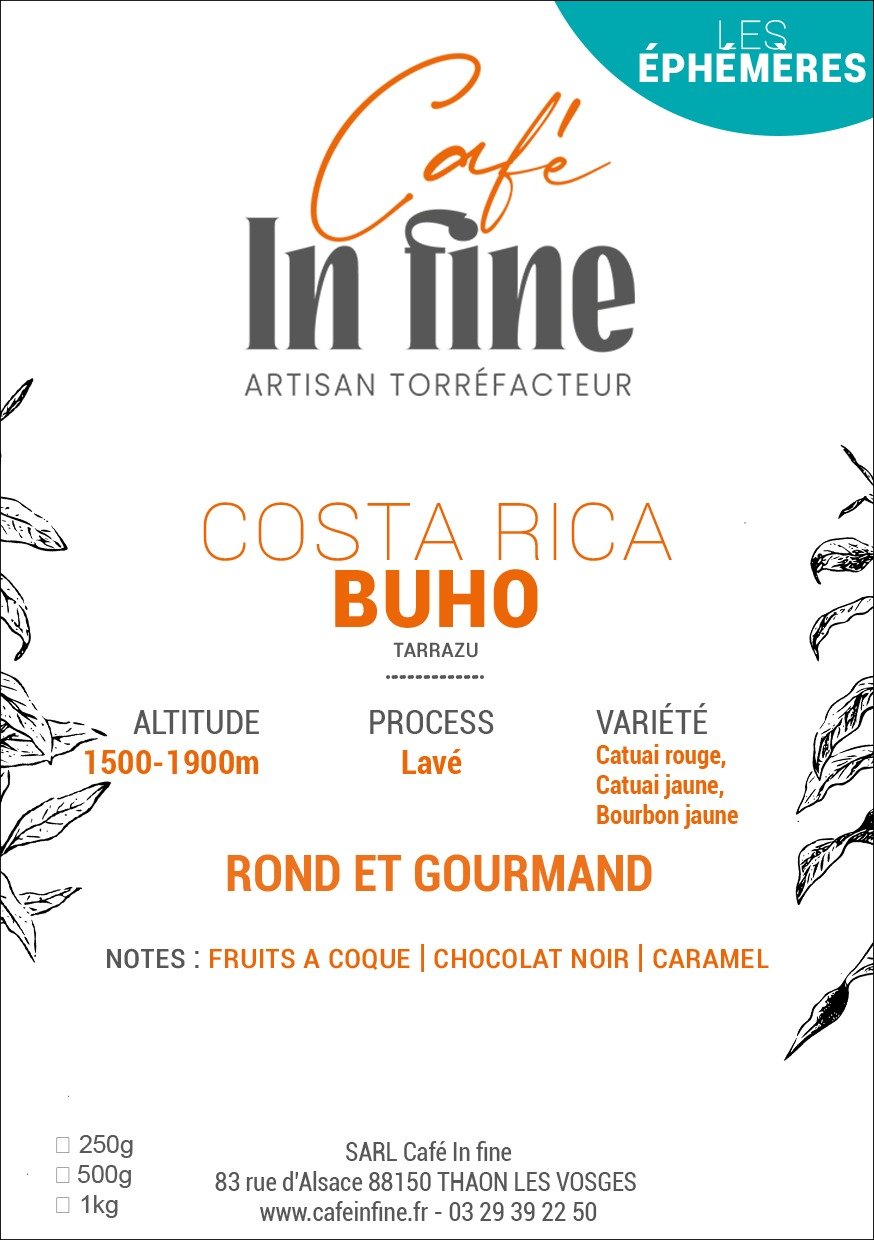 Café de spécialité - Costa Rica - Buho