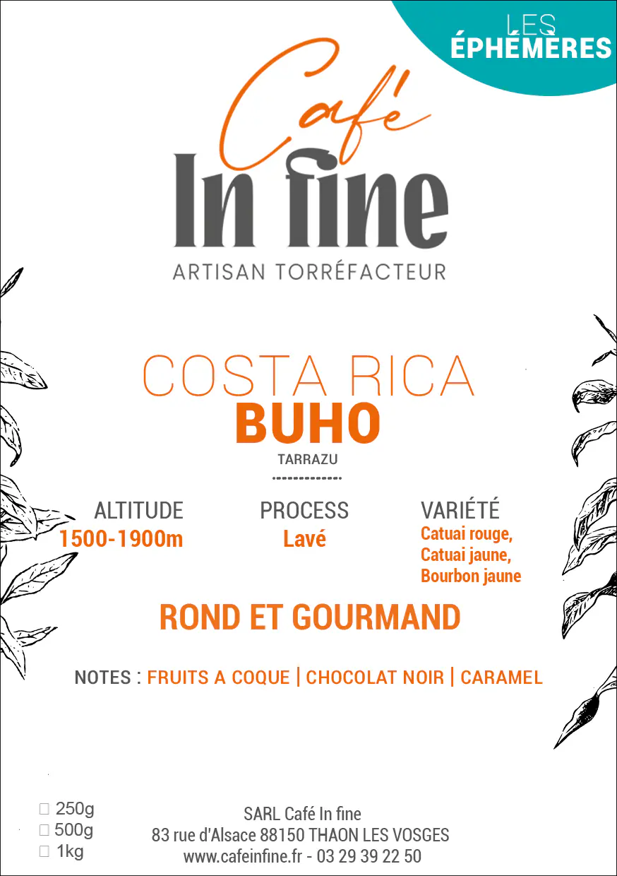 Café de spécialité - Costa Rica - Buho